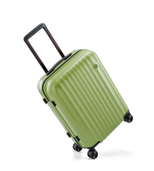 Чемодан NINETYGO Elbe Luggage 20" Green
